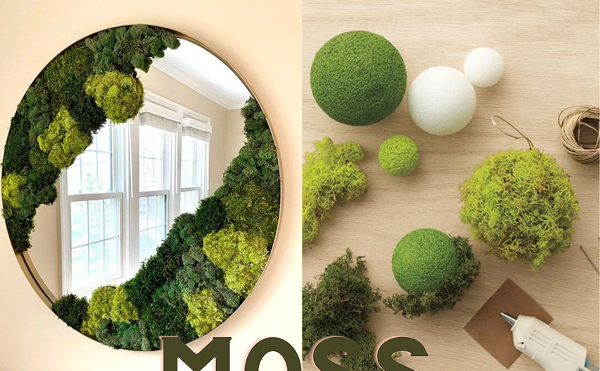 Moss Mirrors