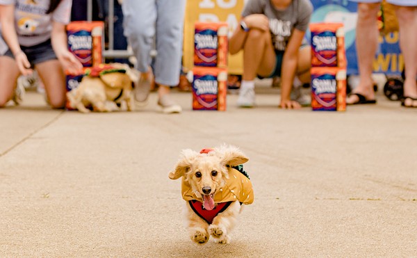 Dachshunds once again will take to the streets during Oktoberfest Zinzinnati this year, as they did during the 2021 Running of the Wieners.