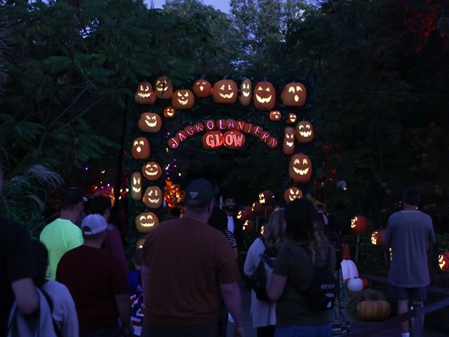 The opening night of the Jack O'Lantern Glow at the Cincinnati Zoo