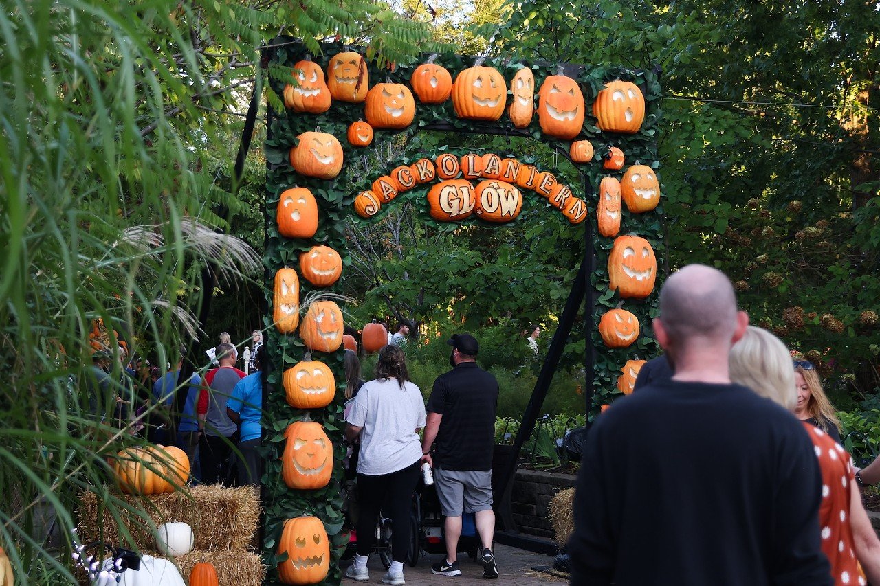 The opening night of the Jack O'Lantern Glow at the Cincinnati Zoo