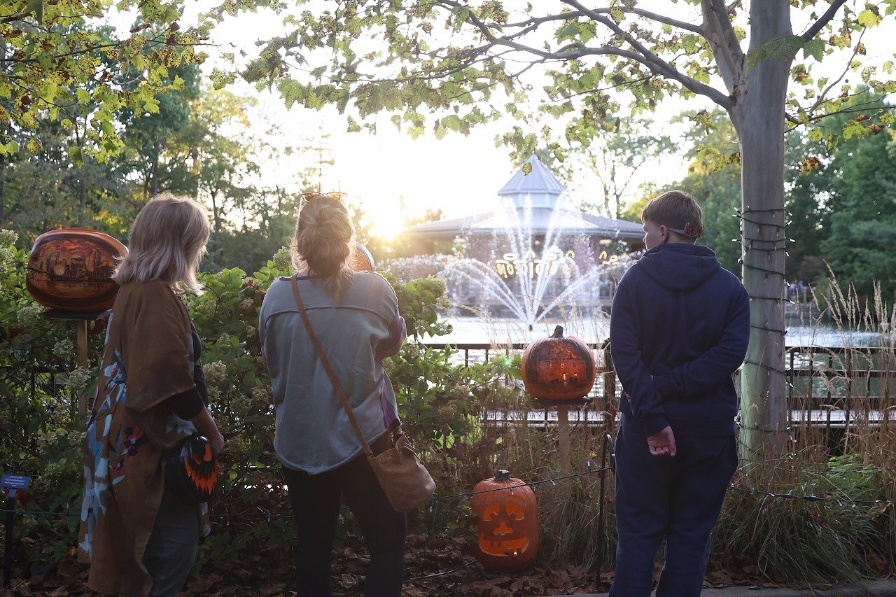 The opening night of the Jack O'Lantern Glow at the Cincinnati Zoo