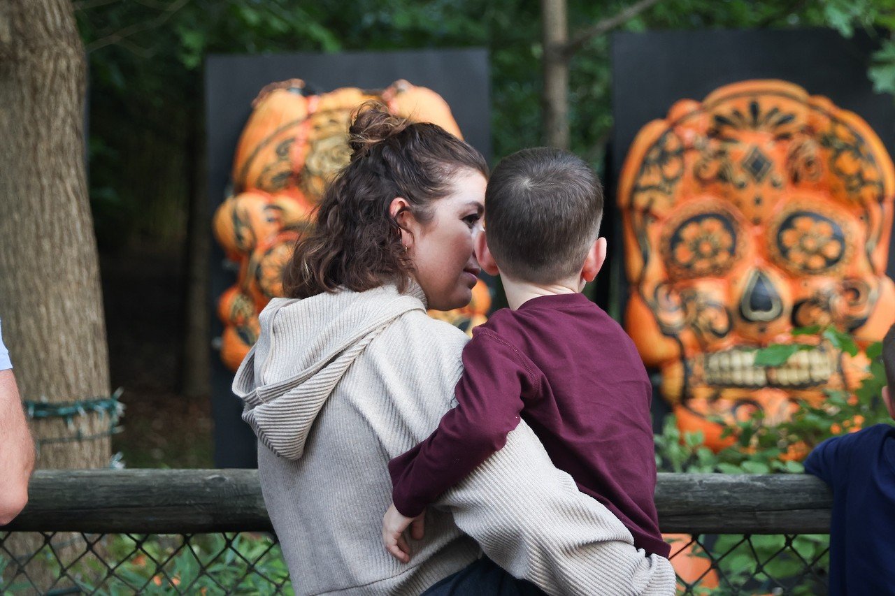 The opening night of the Jack O'Lantern Glow at the Cincinnati Zoo