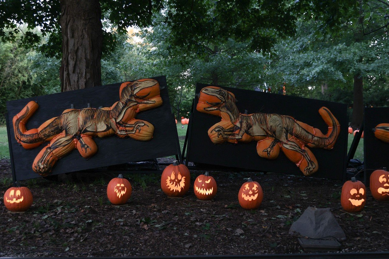 The opening night of the Jack O'Lantern Glow at the Cincinnati Zoo