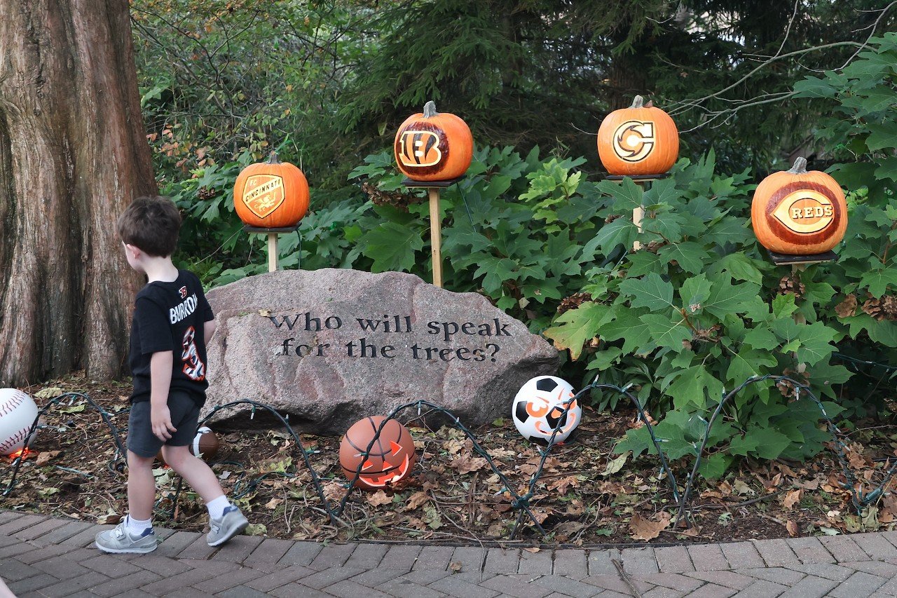 The opening night of the Jack O'Lantern Glow at the Cincinnati Zoo