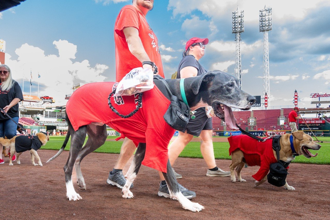 Dogs on parade for Bark in the Park | Cincinnati Reds vs. Atlanta Braves | Sept. 18, 2024