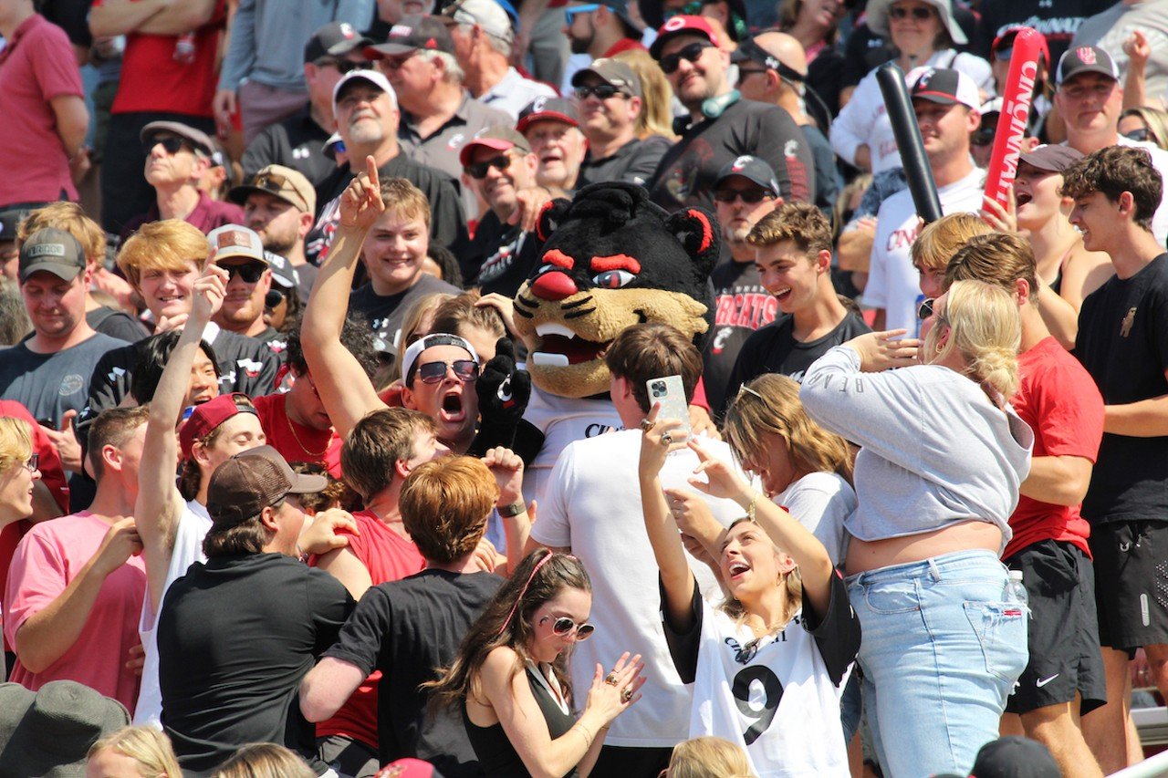 University of Cincinnati fans and the Bearcat in the stands.