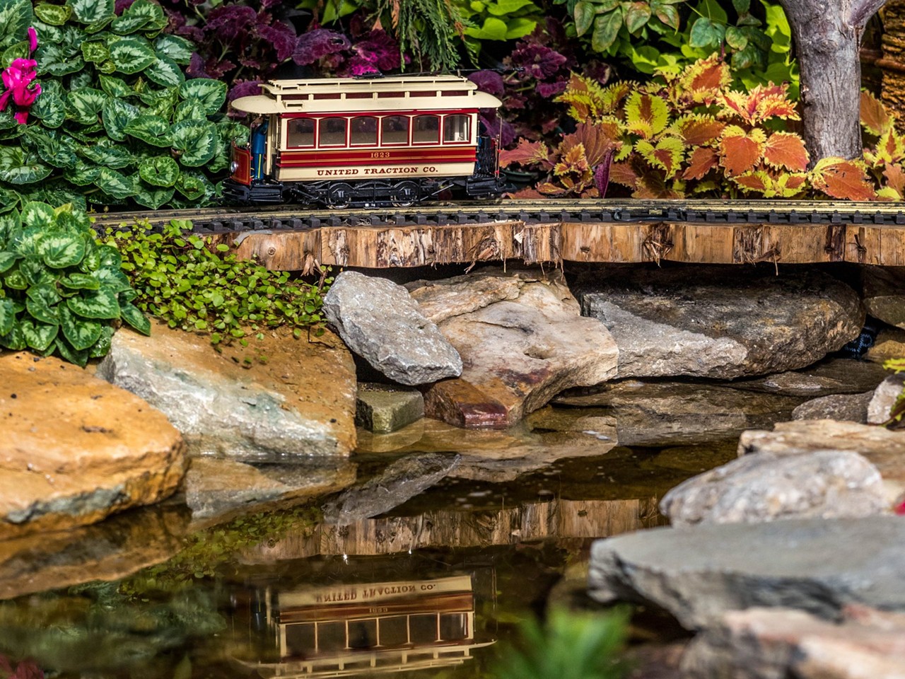See Inside Krohn Conservatory's Holiday Floral Show 'Trains and Traditions, a Cincinnati Holiday'