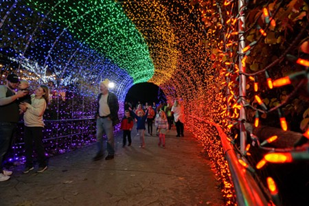 See Some of the 4 Million Lights on Display at the Cincinnati Zoo Festival of Lights