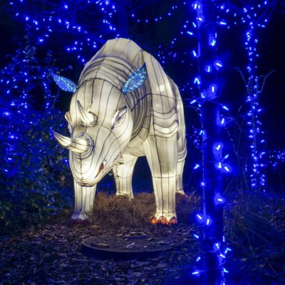 See Some of the 4 Million Lights on Display at the Cincinnati Zoo Festival of Lights
