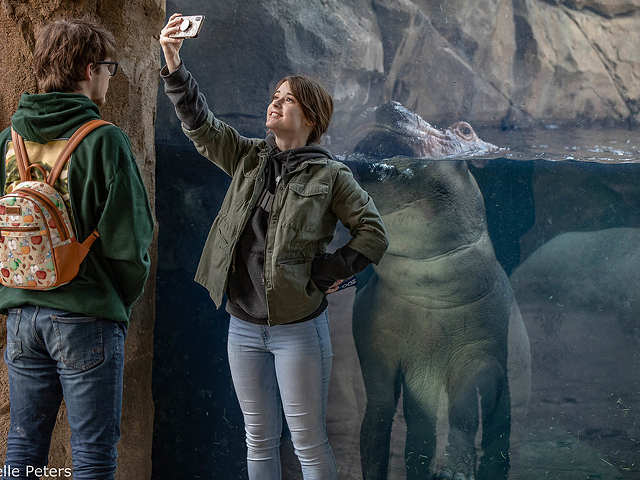 Masks are no longer required for vaccinated visitors at the Cincinnati Zoo, so feel free to show your smile while you selfie with Fiona.