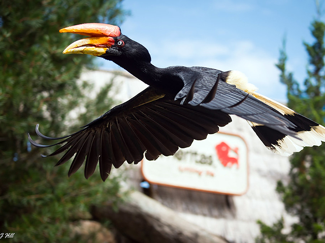Get up close and personal with some of the Cincinnati Zoo's birds during the Ameritas Bird Experience