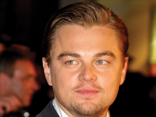 Leonardo DiCaprio stars in The Revenant.