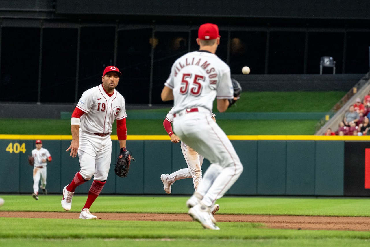 Cincinnati Reds on X: Got some absolute dawgs on the field. #BarkInThePark   / X