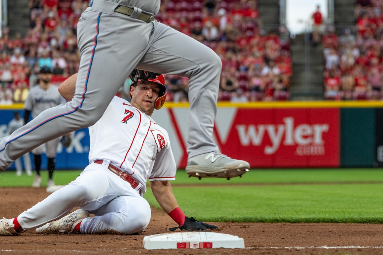 Cincinnati Reds on X: Got some absolute dawgs on the field. #BarkInThePark   / X