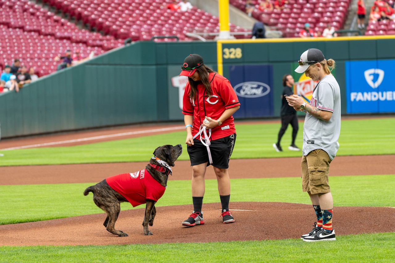 PHOTOS: Cincinnati Reds host Bark in the Park, 5/9