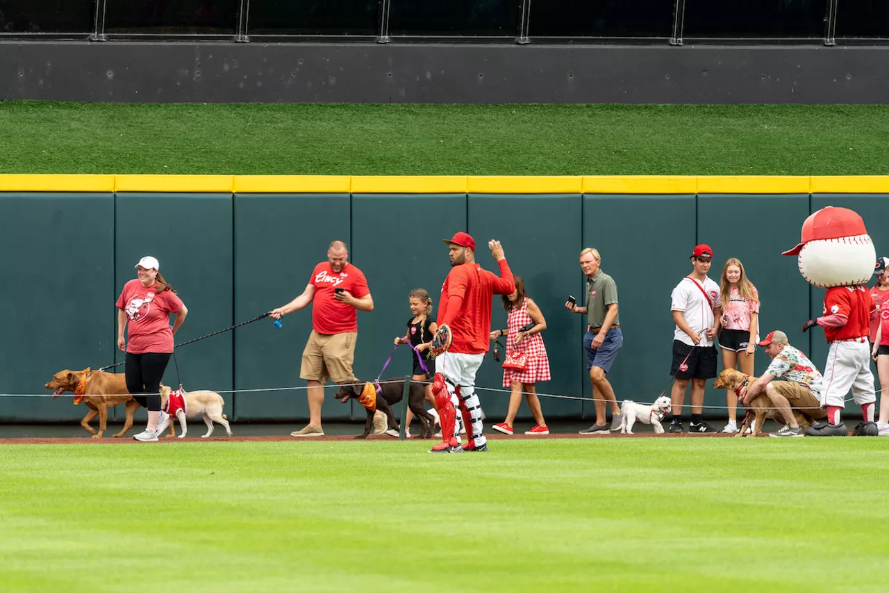 Cincinnati Reds on X: Got some absolute dawgs on the field. #BarkInThePark   / X