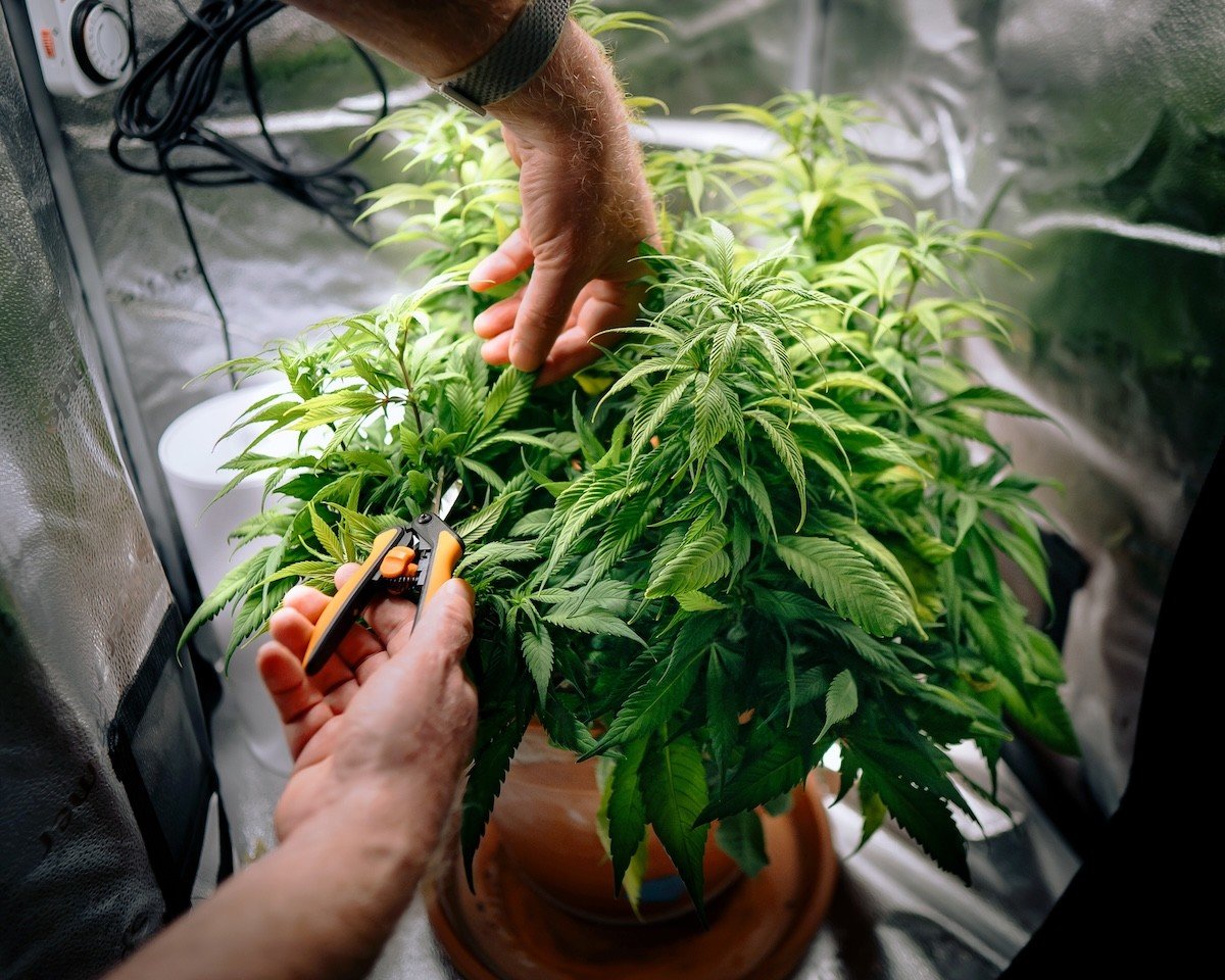Dr. James Weeks of One Heart Medical expects the state’s medical marijuana program will see an uptick in patients, particularly from the Baby Boomer generation.