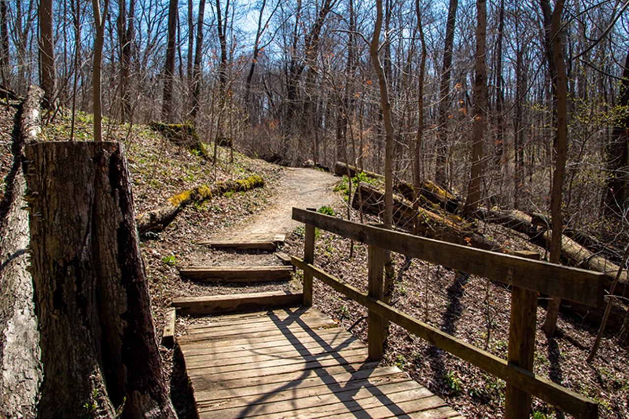 Withrow Nature Preserve
7075 Five Mile Road, Anderson Township
The Trout Lily Trail in the Withrow Nature Preserve is a moderately difficult 1.7 mile nature trail through verdant green woods, bushes and grass. This trail is rarely crowded so it makes a great peaceful walk.
Photo: Paige Deglow