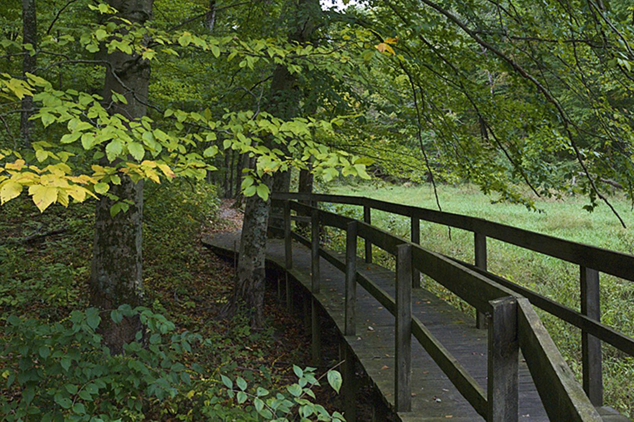 Miami Whitewater Forest
9001 Mt. Hope Road, Harrison
Miami Whitewater is the go-to park for people living in Harrison. Four nature trails wind through the Miami Whitewater Forest. The paved exercise trail leads through views of woods, creeks, grasslands and local rural neighborhoods for a 1.4 mile loop or the outer loop of almost 7.8 miles. 
Photo Provided by Hamilton County Parks