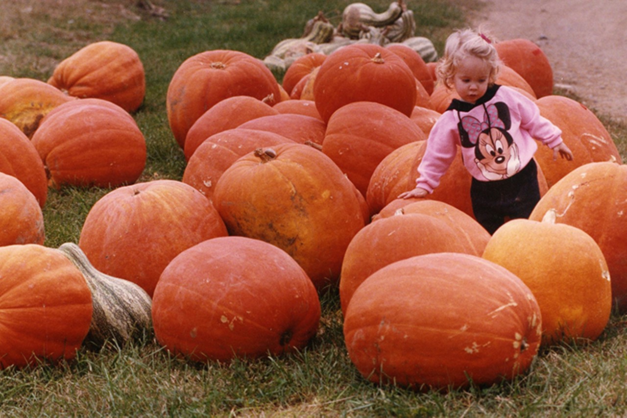 Northern Kentucky, date unknown
"A little girl in a pumpkin patch."