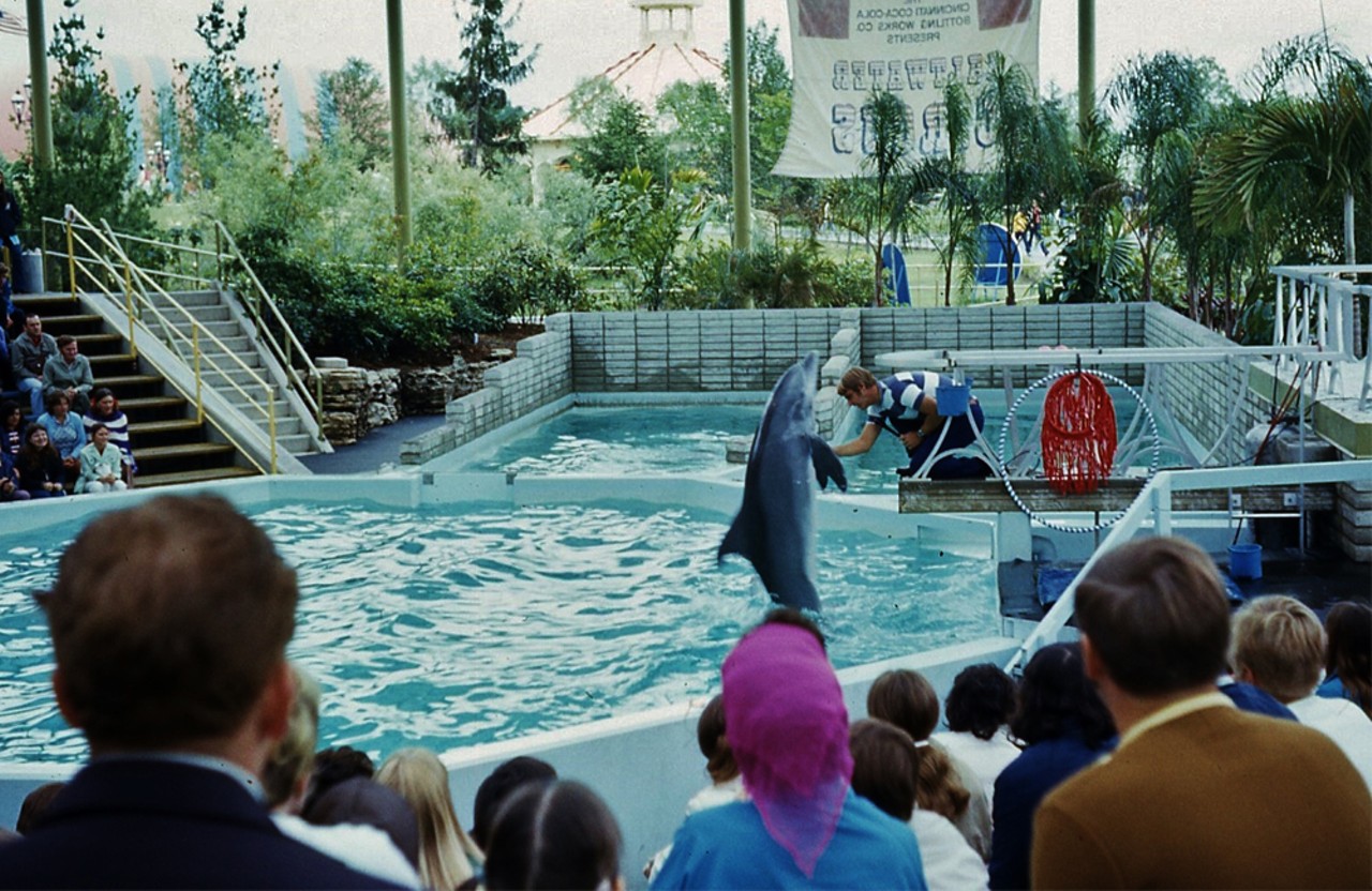 A fan photo provided to Kings Island for the park's 50th anniversary. Kings Island had an aquatic arena and hosted a "Salt Water Circus" from 1972 until 1994, when it was torn down.