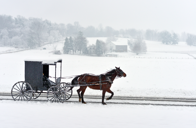 A horse-drawn carriage similar to some you'll be able to see at the 30th-annual Lebanon Horse-Drawn Carriage Parade and Festival - PHOTO: RANDY FATH