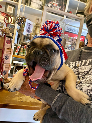 Wilbur in the Rabbit Hash General Store - Photo: Amy Noland