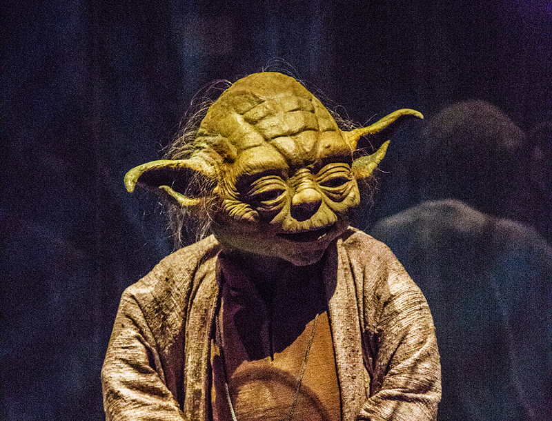The “real” Jedi Master Yoda - Photo: Hailey Bollinger