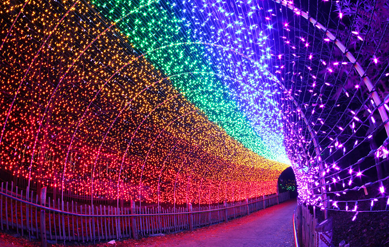 Festival of Lights - Photo: Mark Dumont