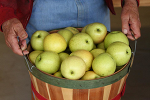 Apples from McGlasson Farm - Photo: Provided