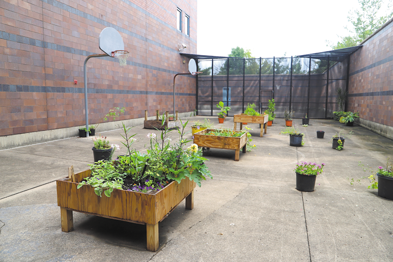 A garden at the Hamilton County Youth Center - NICK SWARTSELL