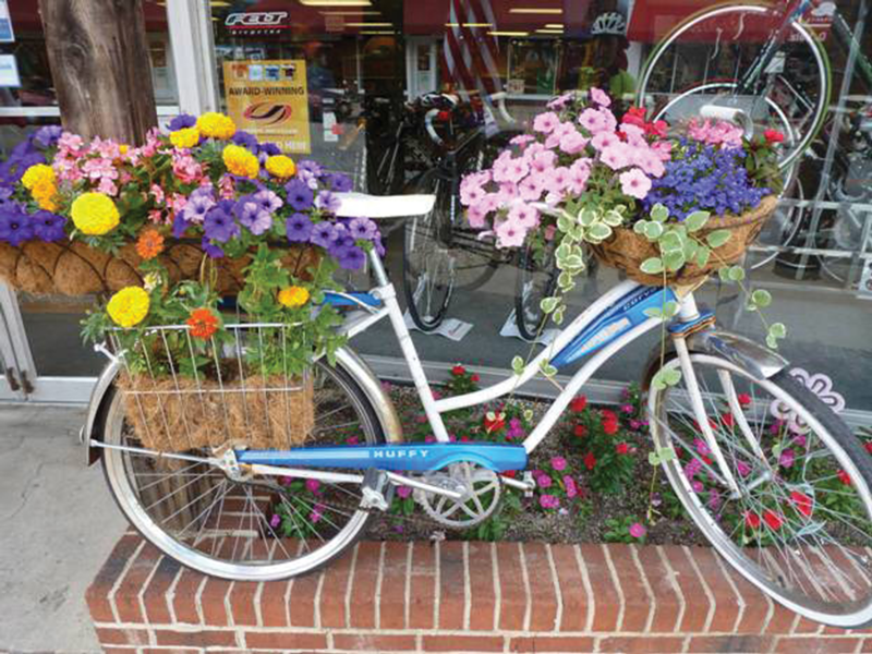 Event: Bikes in Bloom