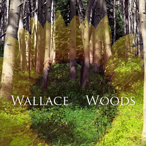 LISTEN: Wallace Woods’ “Trouble You No More”