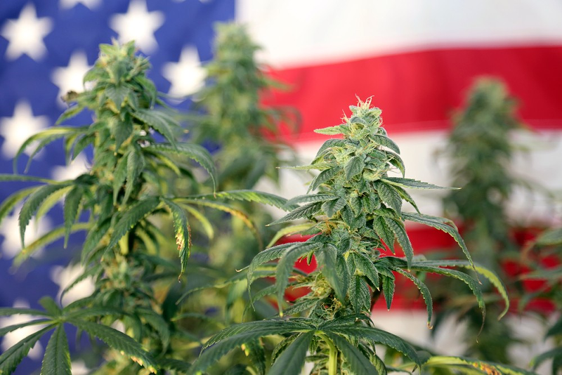 House to Make Historic Vote on Whether to Federally Decriminalize Marijuana This Week