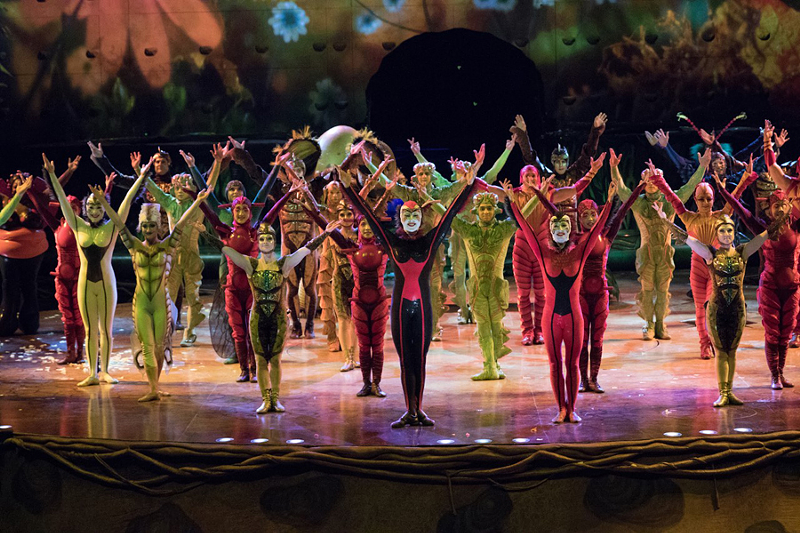 "OVO" has been called “ 'A Bug’s Life' meets Ziggy Stardust.” - Photo: Courtesy of Cirque du Soleil