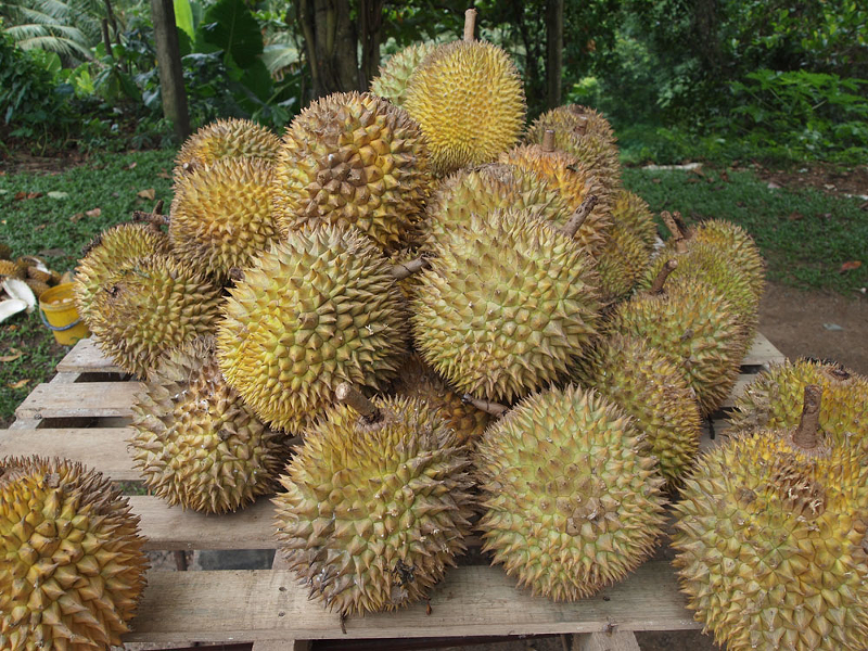 Durian is very stinky - Creative Commons