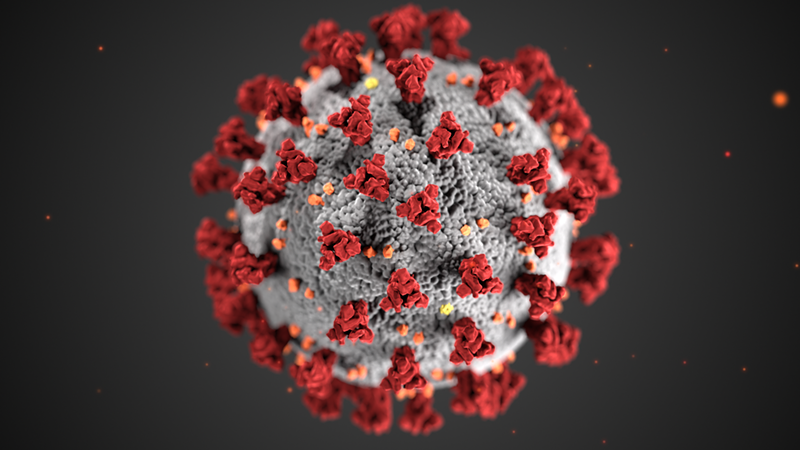 A rendering of the COVID-19 virus - Centers for Disease Control and Prevention