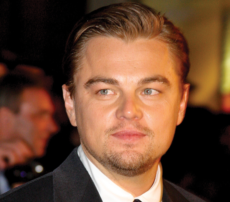 Leonardo DiCaprio stars in The Revenant.