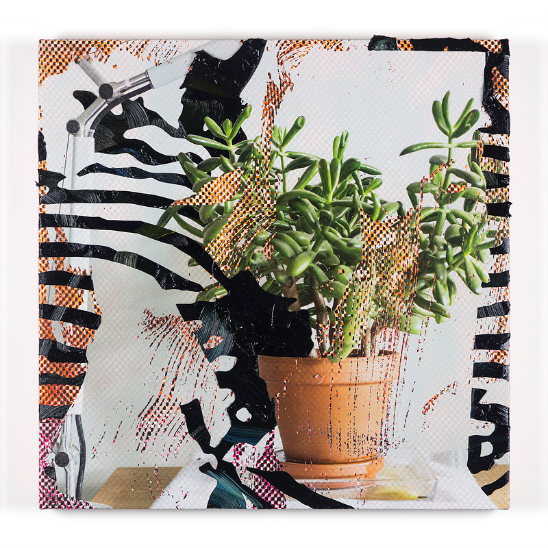 "Beside me (another succulent painting)" - Photo: Jimmy Baker