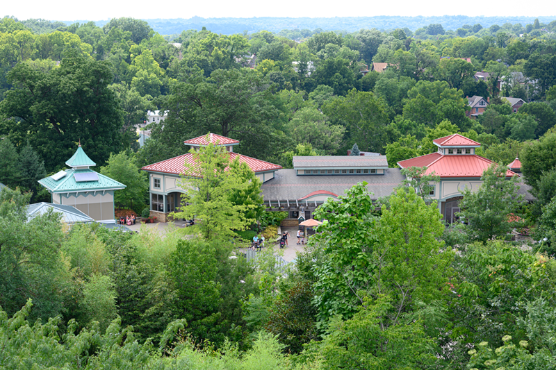 View from the top of the elephant house - Photo: Provided by Cincinnati Zoo