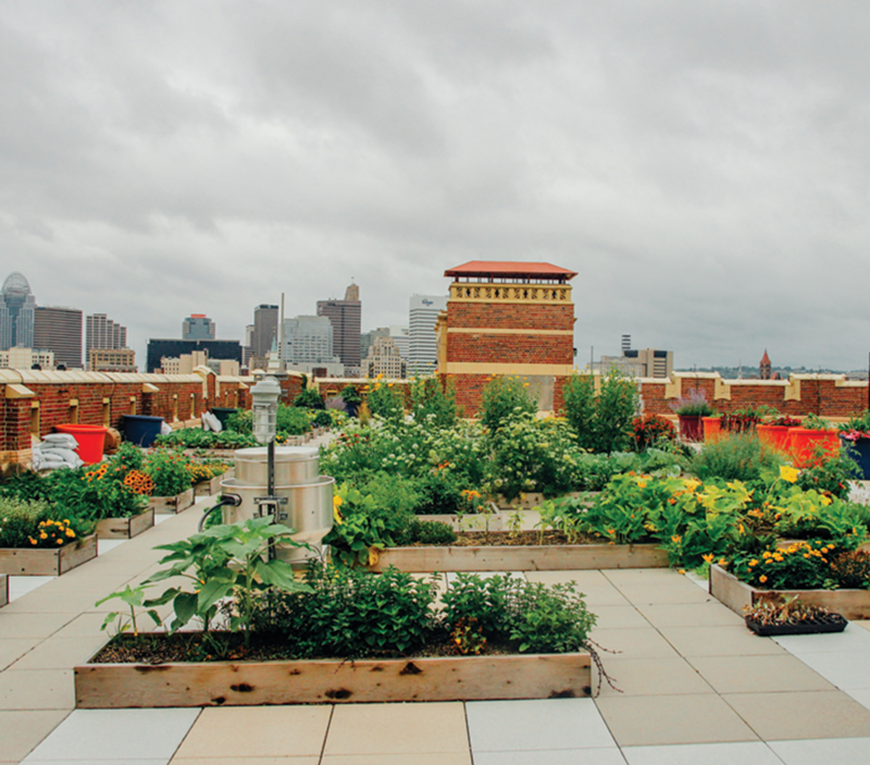 Rothenberg Preparatory Academy’s rooftop garden is a hands-on learning experience for students.