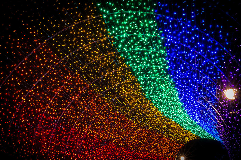 The Festival of Lights - Photo: Cassandre Crawford