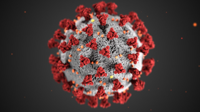A rendering of the pandemic coronavirus that causes COVID-19. - Centers for Disease Control and Prevention