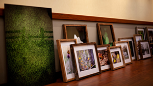 The showcase takes place at Lloyd Library through Nov. 30. - Provided by Jacob Meyer