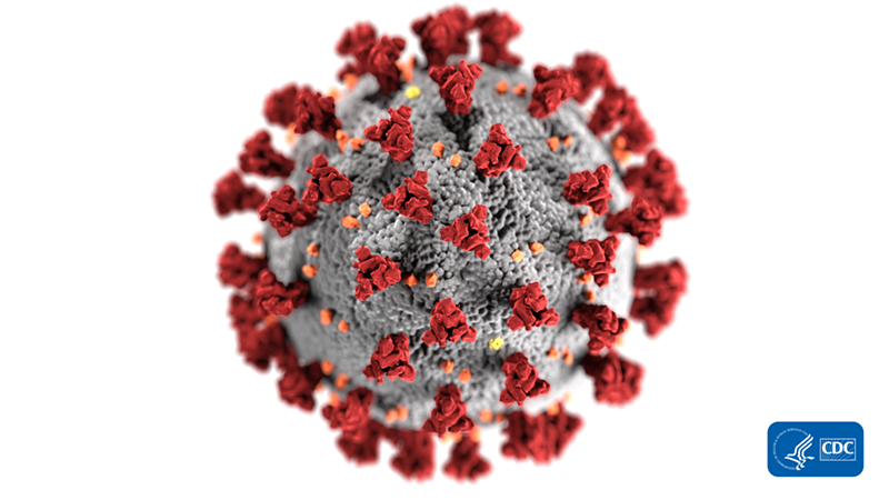 An illustration of the coronavirus - CENTERS FOR DISEASE CONTROL