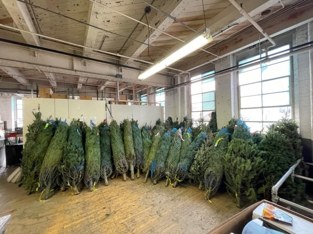 Cincinnati ReUse Center Giving Away 75+ Free Christmas Trees to Families in Need