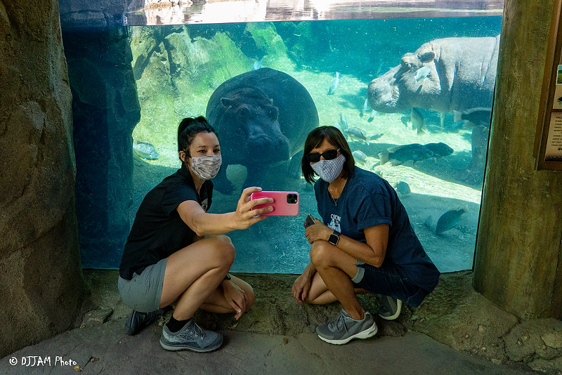 Cincinnati Zoo Says Masks On to See Fiona