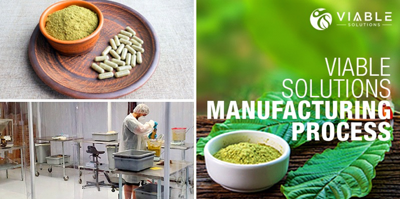Viable Solutions Shows How Kratom Is Manufactured
