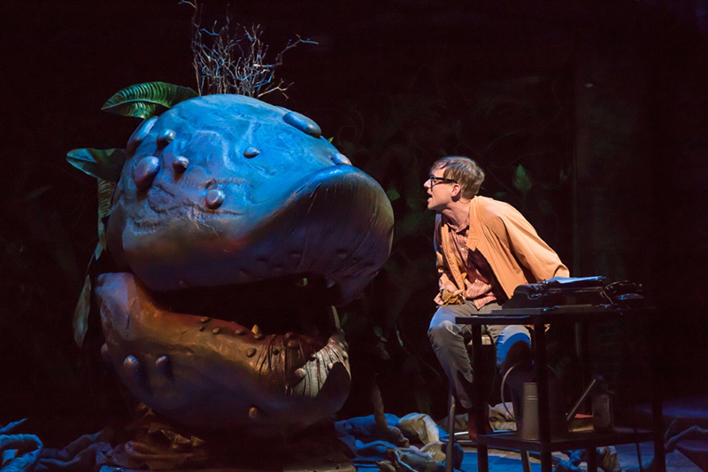 Nick Cearley as Seymour with his carnivorous plant, Audrey II, in "Little Shop of Horrors" - Photo: Mikki Schaffner Photography