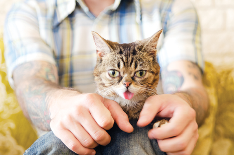Lil BUB and her human